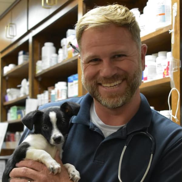 Dr. Travis Wright, Douglasville Veterinarian